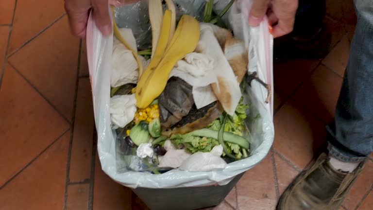  Groveville, NJ Junk Removal Services Pros